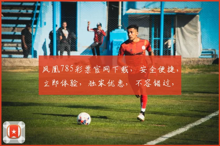 凤凰785彩票官网下载，安全便捷，立即体验，独家优惠，不容错过，三大理由