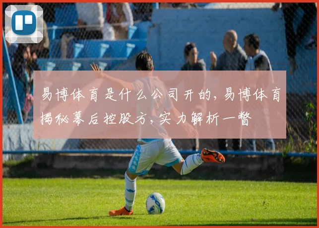 易博体育是什么公司开的,易博体育揭秘幕后控股方,实力解析一瞥